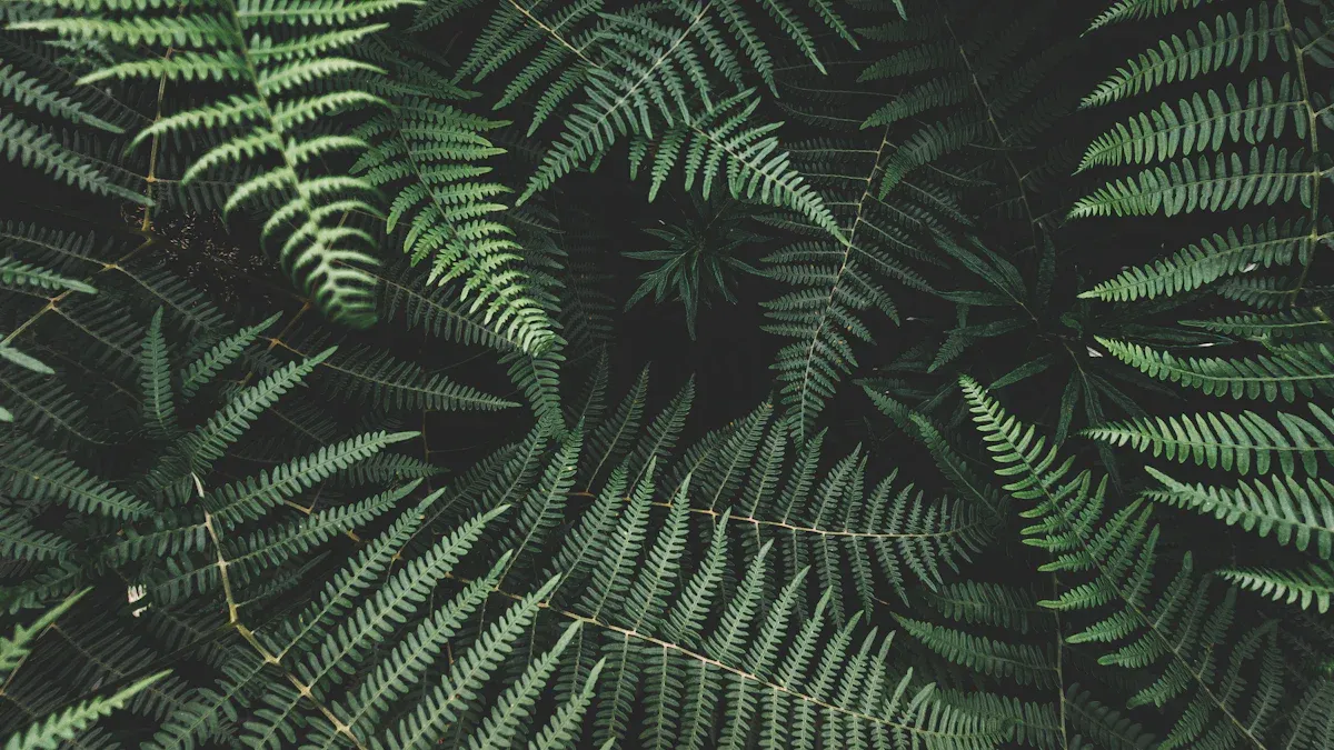 How to Make Wall Decals with a Wall Printer